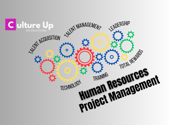 Human Resources Project Management is the main title. There are gears in different colours reflecting the different areas of HR. These include Talent Acquisition, Talent Management, Leadership, Technology, Training, and Total Rewards.